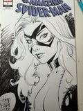 THE BLACK CAT AGAIN!