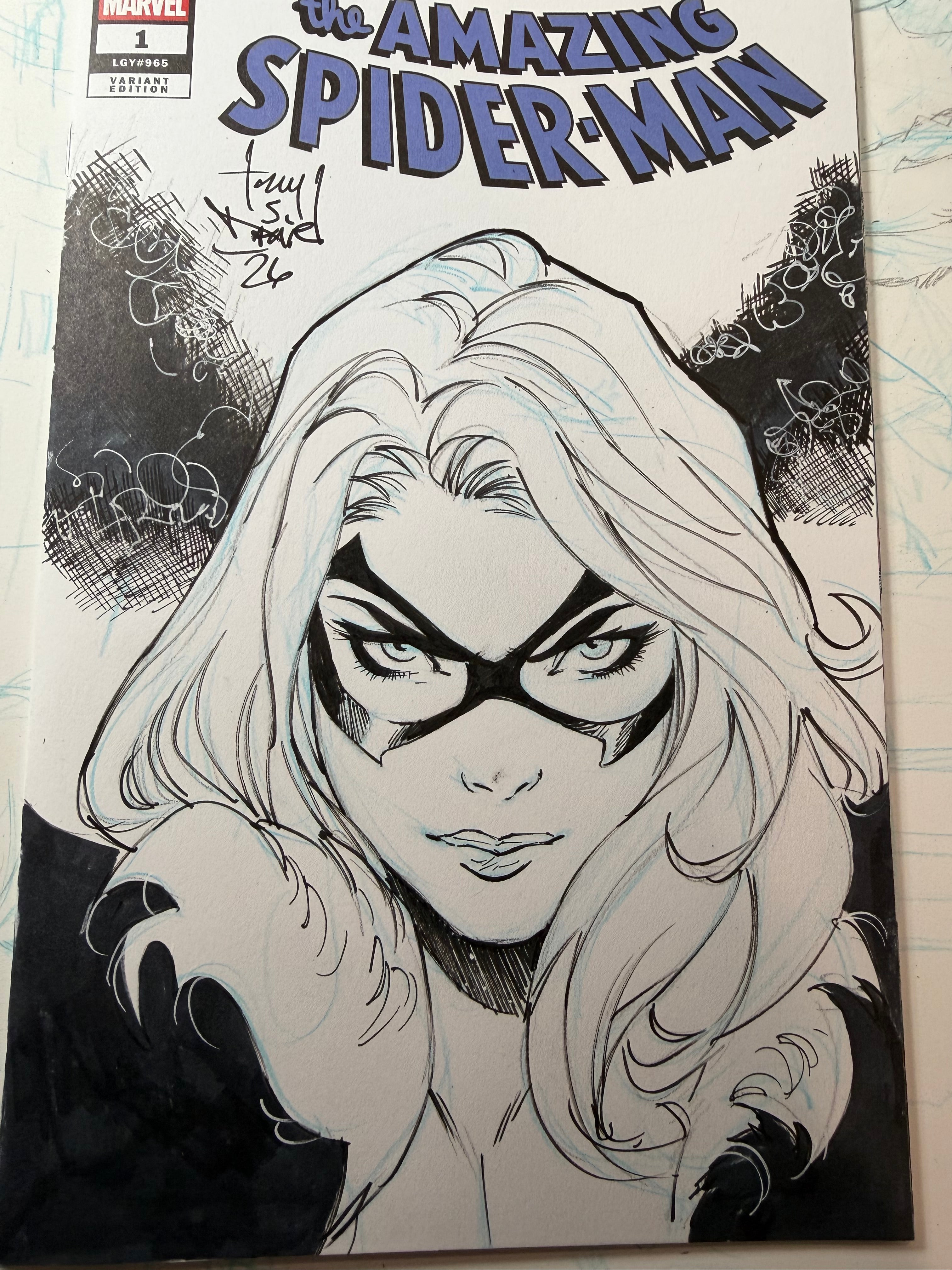 AMAZING SPIDER-MAN BLACK CAT!