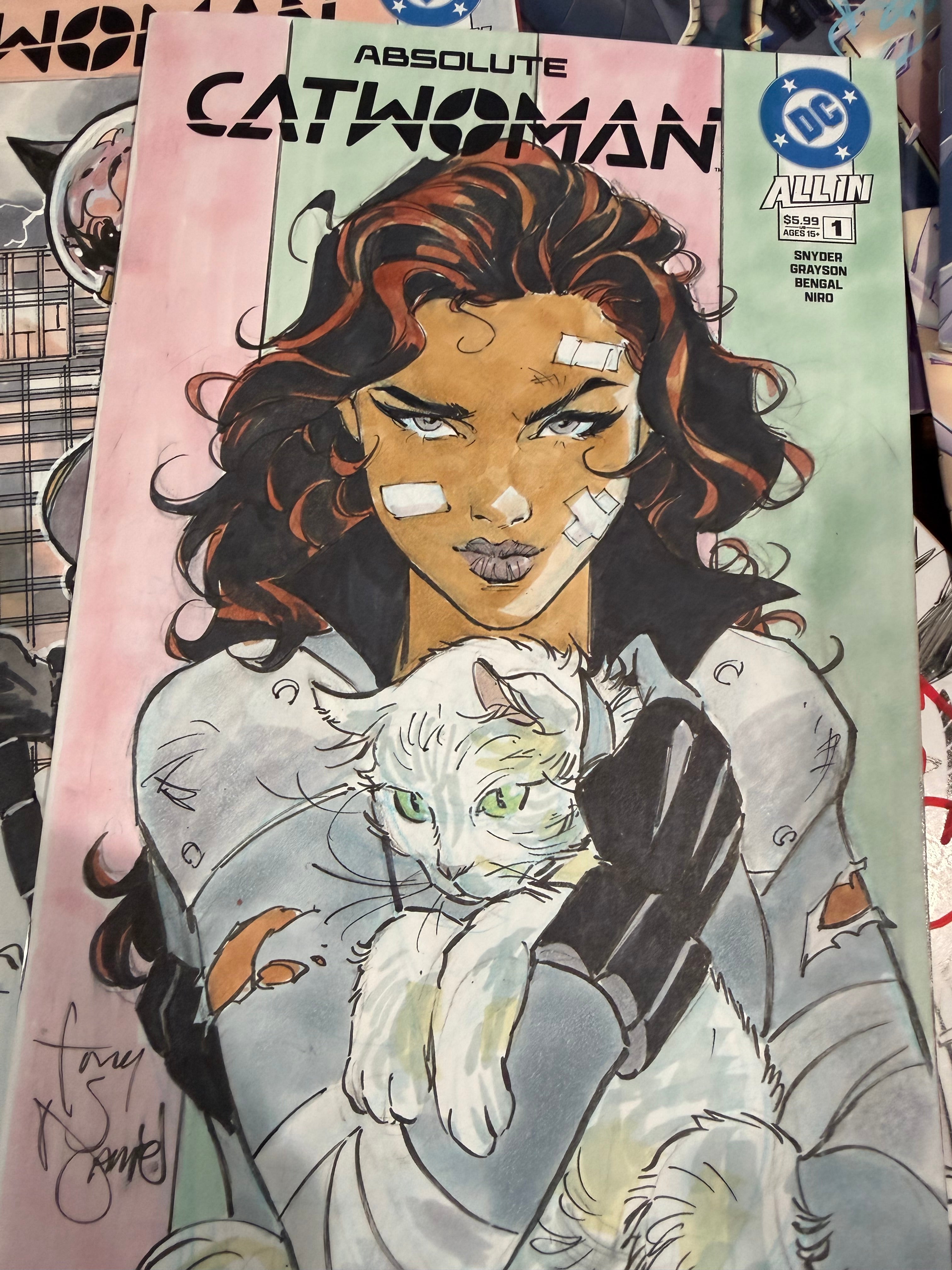 ABSOLUTE CATWOMAN REMARQUE / SECRET BAG PRIZES/WIN BATMAN & ROBIN 28 COVER OA