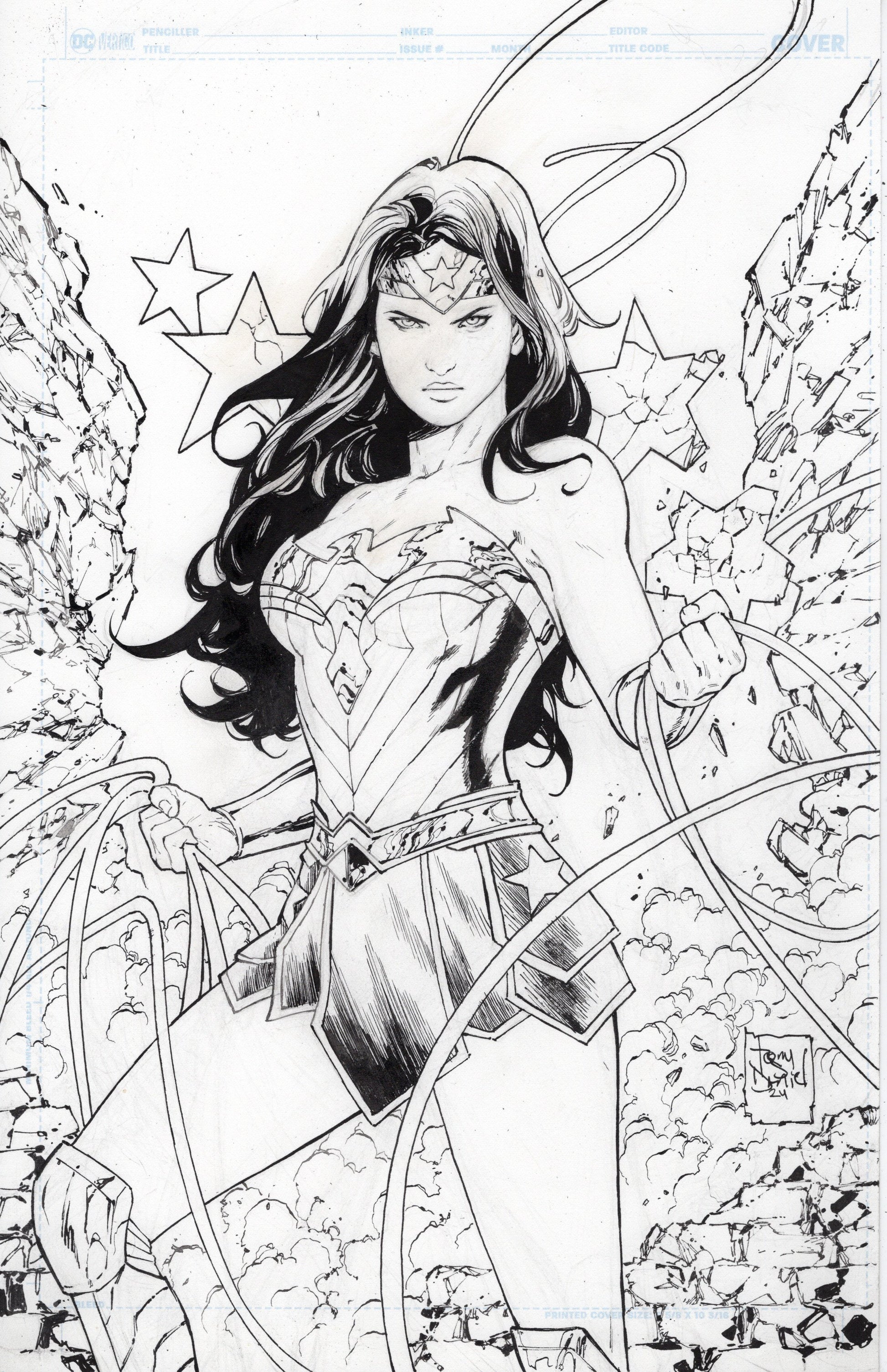 WONDER WOMAN 11 VARIANT COVER DC COMICS Comic Art